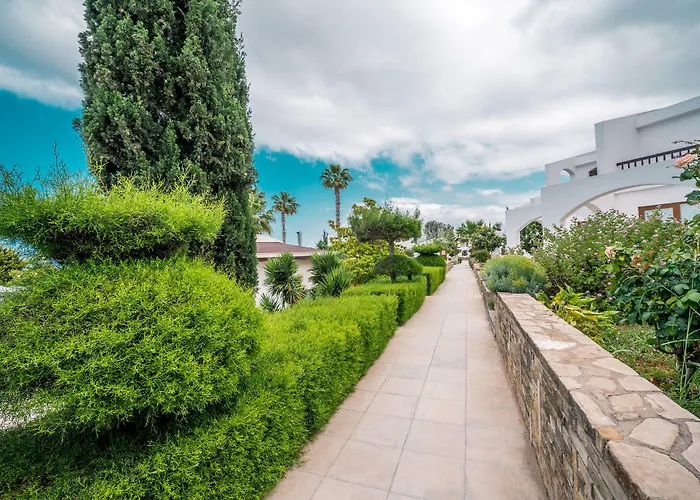 מלון The Olive Tree 4*