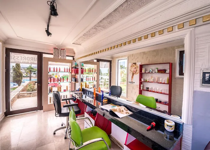 The Olive Tree מלון