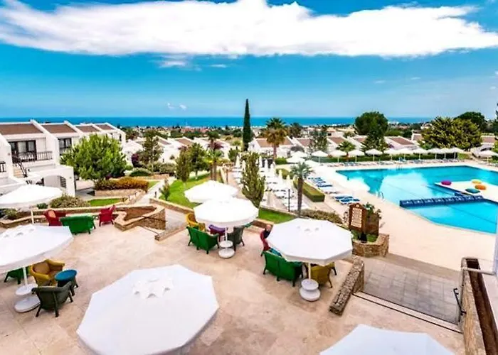 The Olive Tree מלון 4*