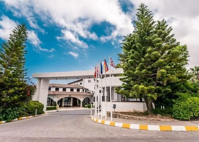 The Olive Tree מלון 4*