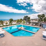 Отель The Olive Tree 4*