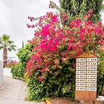 The Olive Tree Отель Agios Epiktitos