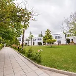The Olive Tree Hotel