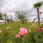 Отель The Olive Tree