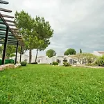 The Olive Tree Hotel