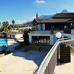The Olive Tree Hotel