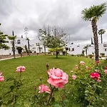 The Olive Tree Отель Agios Epiktitos
