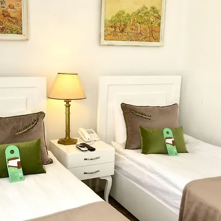 The Olive Tree 4* Agios Epiktitos