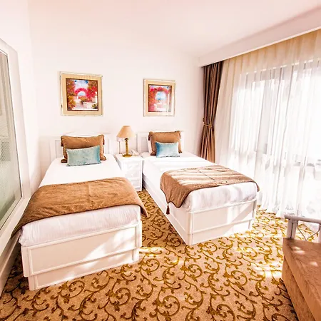 The Olive Tree Hotel