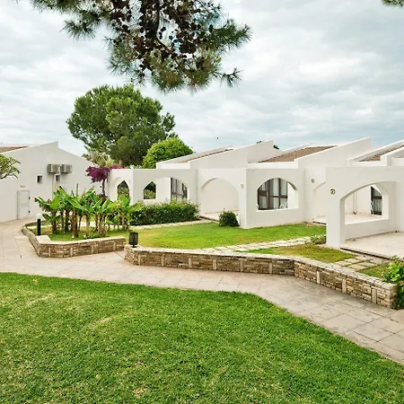 The Olive Tree 4*