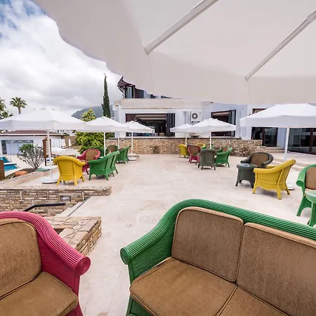 Hotel The Olive Tree