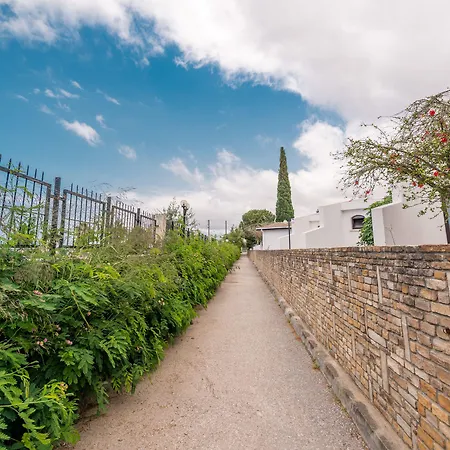 The Olive Tree Hotel Agios Epiktitos