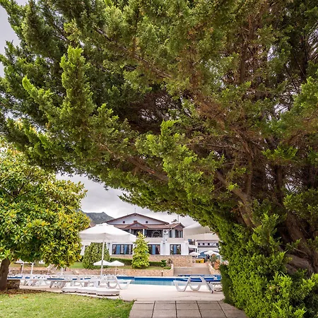 The Olive Tree Hotel