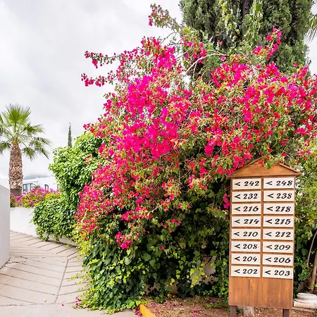 The Olive Tree Hotel Agios Epiktitos