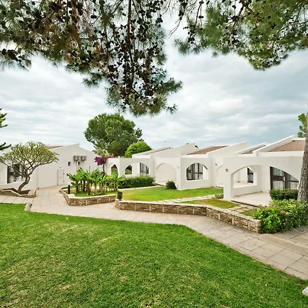 Ξενοδοχείο The Olive Tree 4*