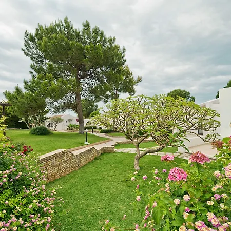 Hotel The Olive Tree