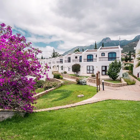 The Olive Tree 4*