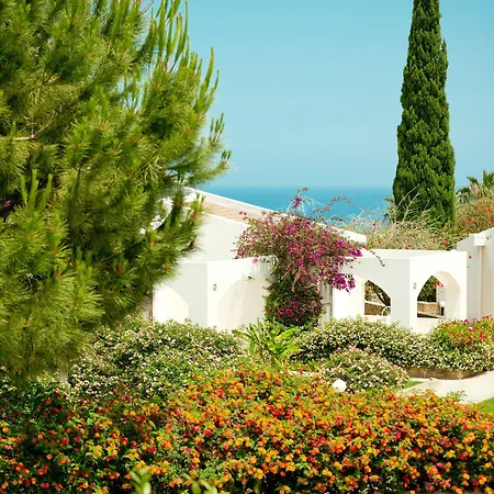 The Olive Tree Hotel