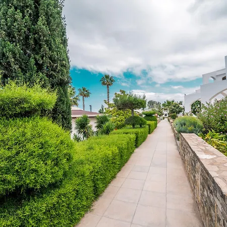 Ξενοδοχείο The Olive Tree 4*