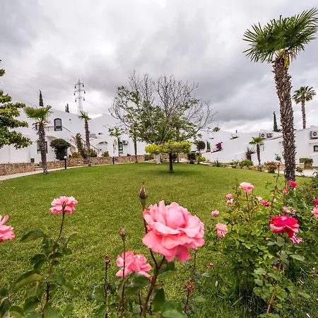 Hotel The Olive Tree