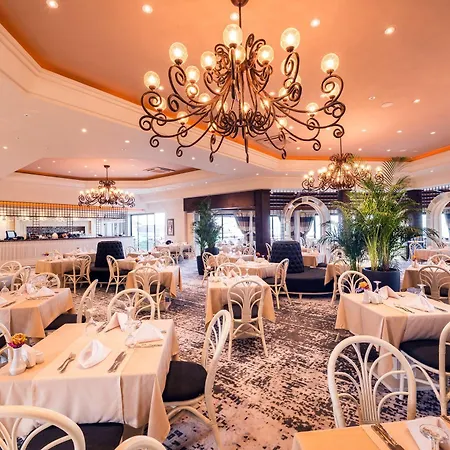 The Olive Tree Hotel