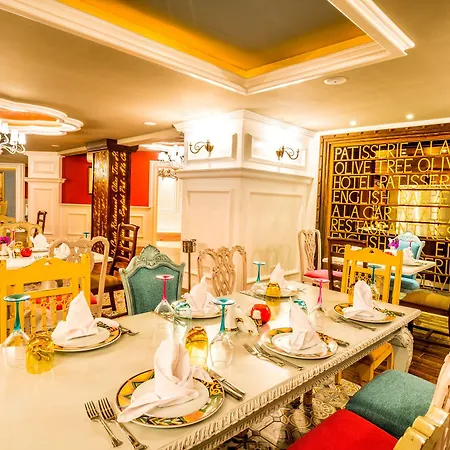 Hotel The Olive Tree