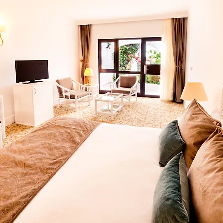 Hotel The Olive Tree Agios Epiktitos