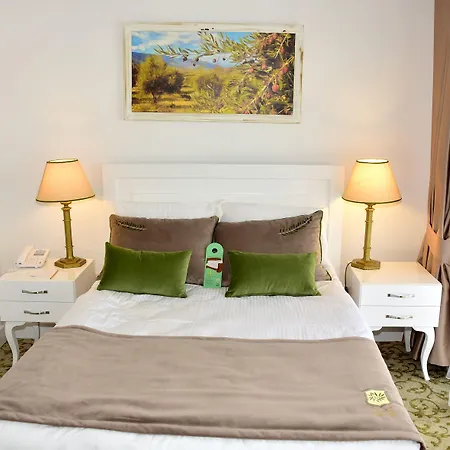 The Olive Tree Hotel