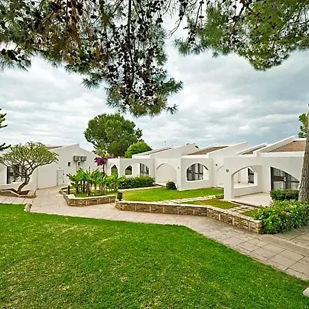 Ξενοδοχείο The Olive Tree 4*