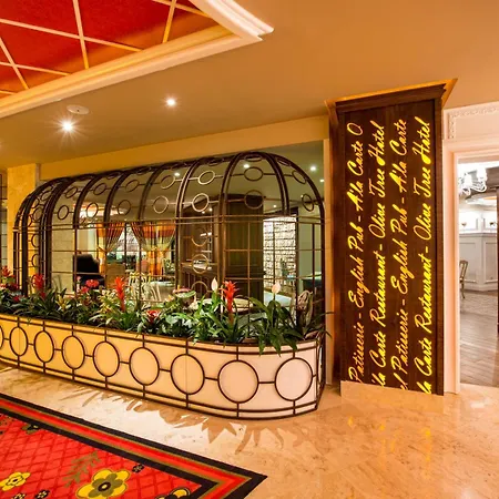 ジ オリーブ ツリー