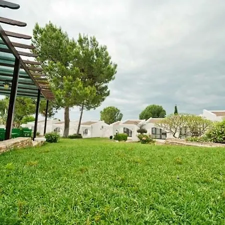 The Olive Tree Hotel