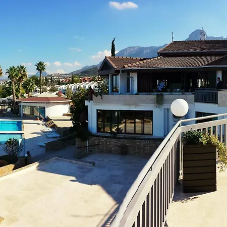 The Olive Tree Hotel