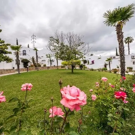The Olive Tree Ξενοδοχείο Agios Epiktitos