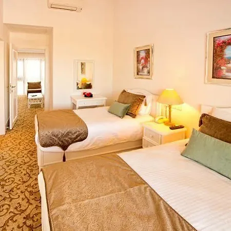 The Olive Tree 4*