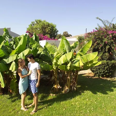 Hotel The Olive Tree Agios Epiktitos
