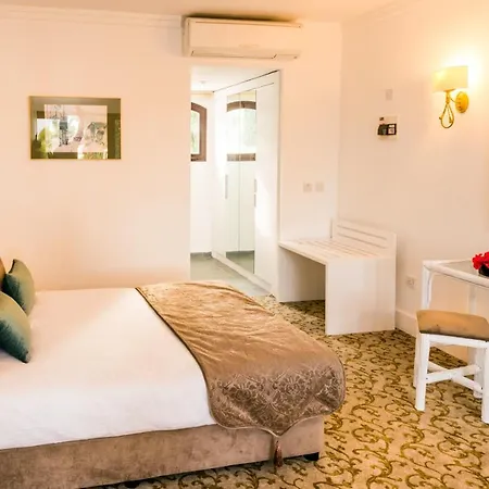 The Olive Tree Agios Epiktitos