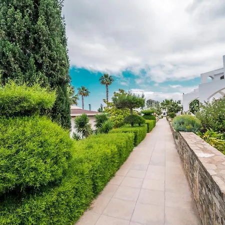 The Olive Tree Hotel 4*