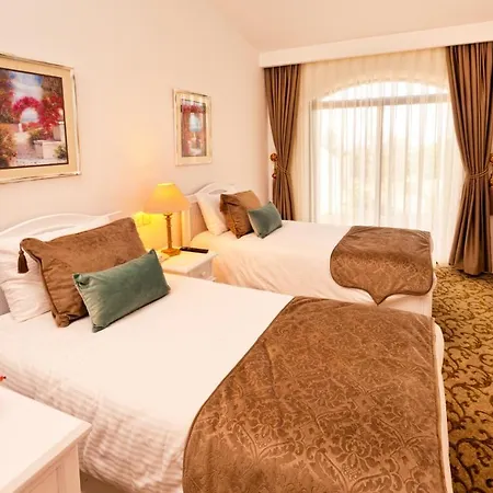 Hotel The Olive Tree
