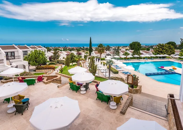 The Olive Tree Agios Epiktitos