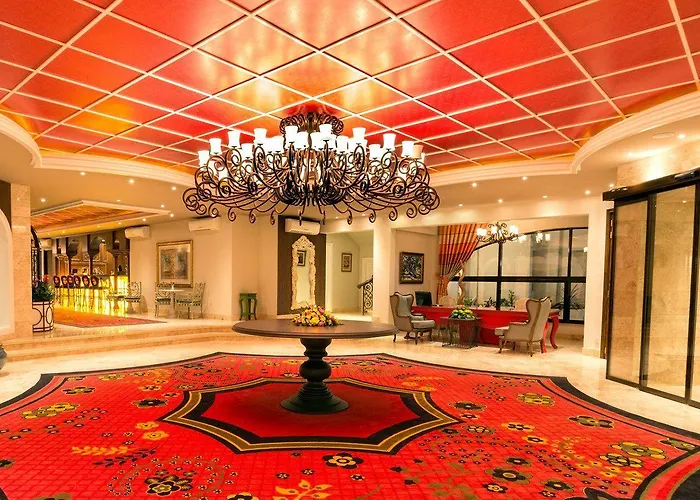 ジ オリーブ ツリー Ayios Epiktitos