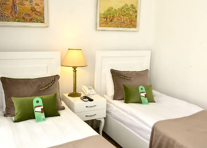 ジ オリーブ ツリー Ayios Epiktitos