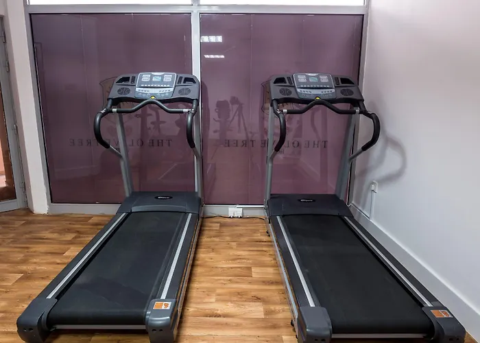 The Olive Tree 4* Agios Epiktitos