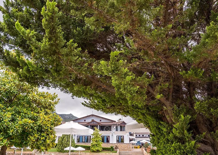 The Olive Tree Hotel