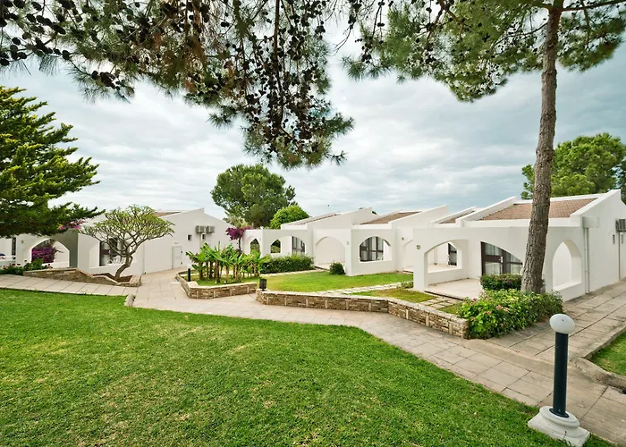 Hotel The Olive Tree 4*