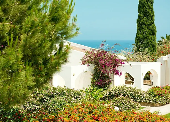 The Olive Tree Hotel