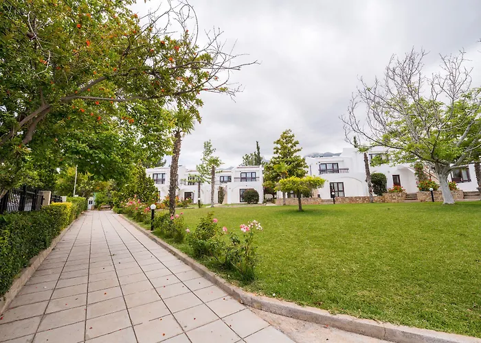 The Olive Tree Hotel