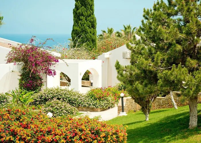 The Olive Tree Agios Epiktitos