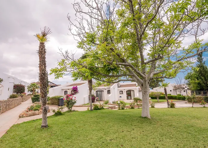 The Olive Tree 4* Agios Epiktitos