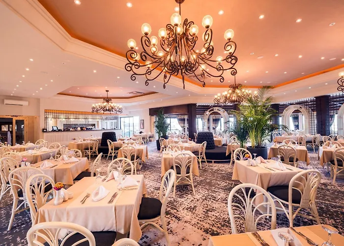 The Olive Tree Hotel