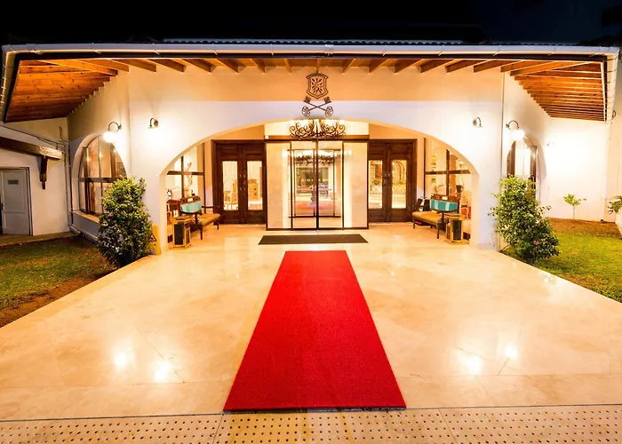 Hotel The Olive Tree Agios Epiktitos